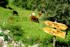 Hiking trails, Palazzo Adriano