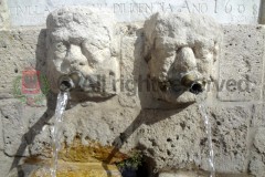 Fontana di Piazza Umberto I, dettaglio1, Palazzo Adriano