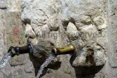 Fontana di Piazza Umberto I, dettaglio2, Palazzo Adriano